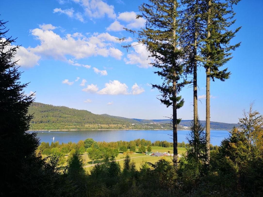 C4 Albmatte-Fewo Sauna, Hallenbad Aussenbecken Massagen Nebenan Menzenschwand-Hinterdorf Екстериор снимка