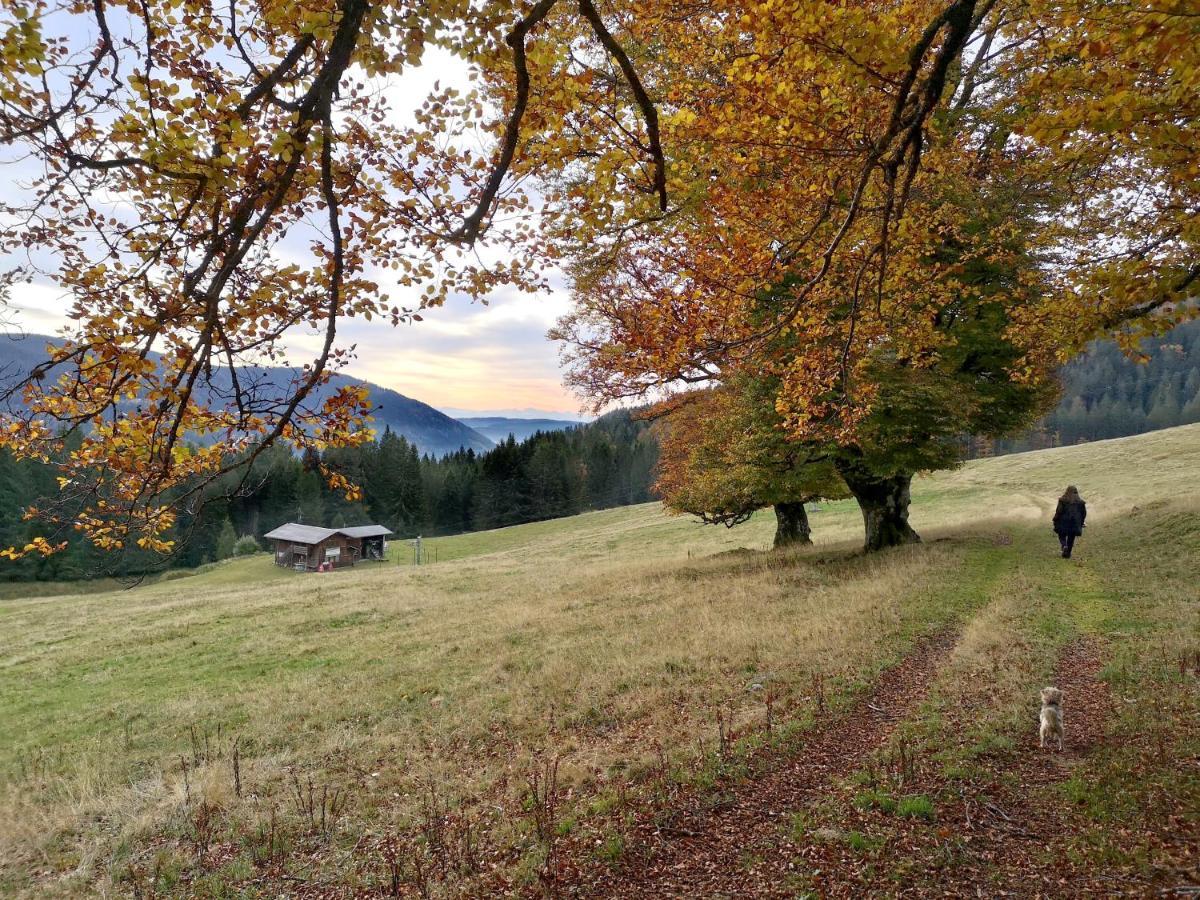 C4 Albmatte-Fewo Sauna, Hallenbad Aussenbecken Massagen Nebenan Menzenschwand-Hinterdorf Екстериор снимка