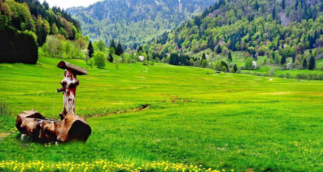 C4 Albmatte-Fewo Sauna, Hallenbad Aussenbecken Massagen Nebenan Menzenschwand-Hinterdorf Екстериор снимка