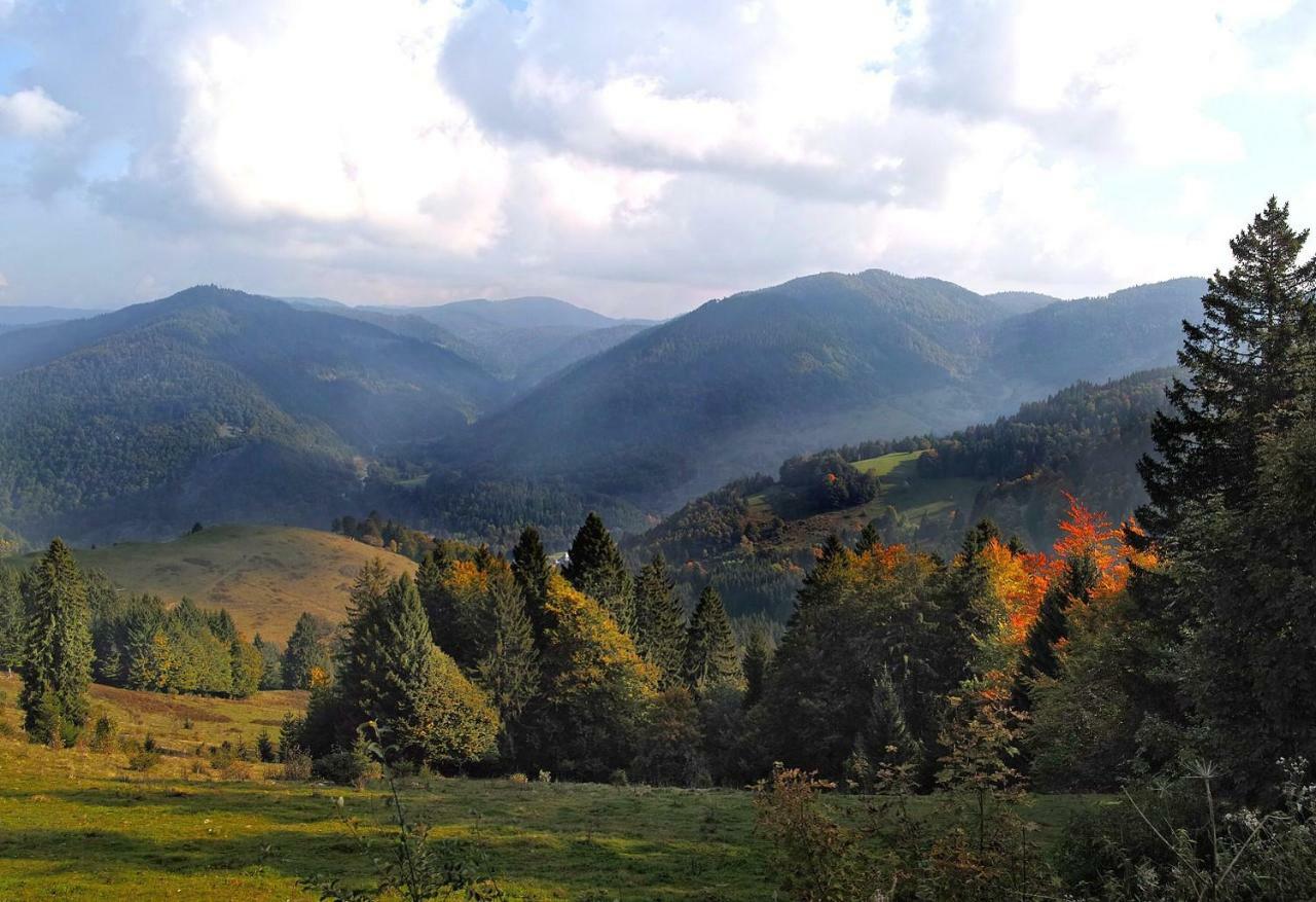 C4 Albmatte-Fewo Sauna, Hallenbad Aussenbecken Massagen Nebenan Menzenschwand-Hinterdorf Екстериор снимка