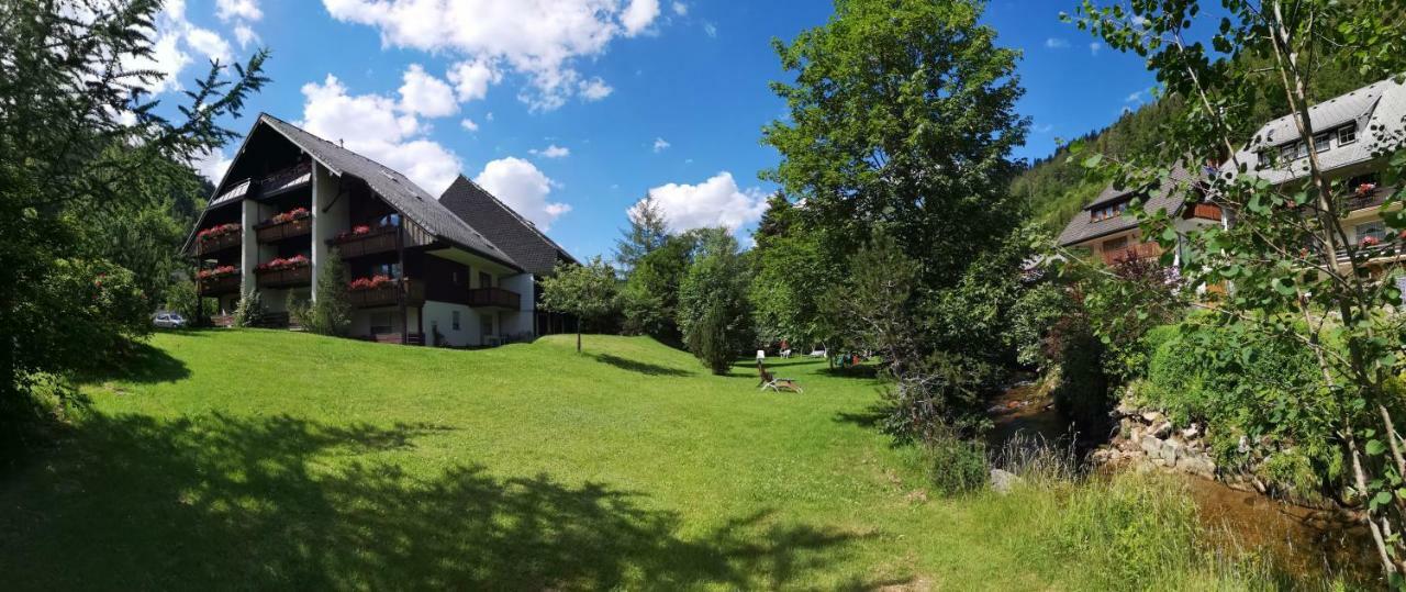 C4 Albmatte-Fewo Sauna, Hallenbad Aussenbecken Massagen Nebenan Menzenschwand-Hinterdorf Екстериор снимка