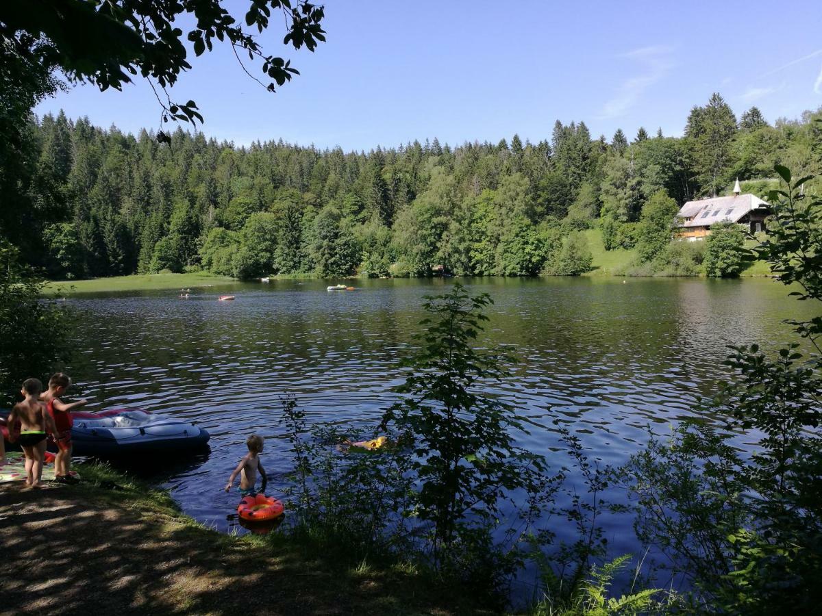 C4 Albmatte-Fewo Sauna, Hallenbad Aussenbecken Massagen Nebenan Menzenschwand-Hinterdorf Екстериор снимка